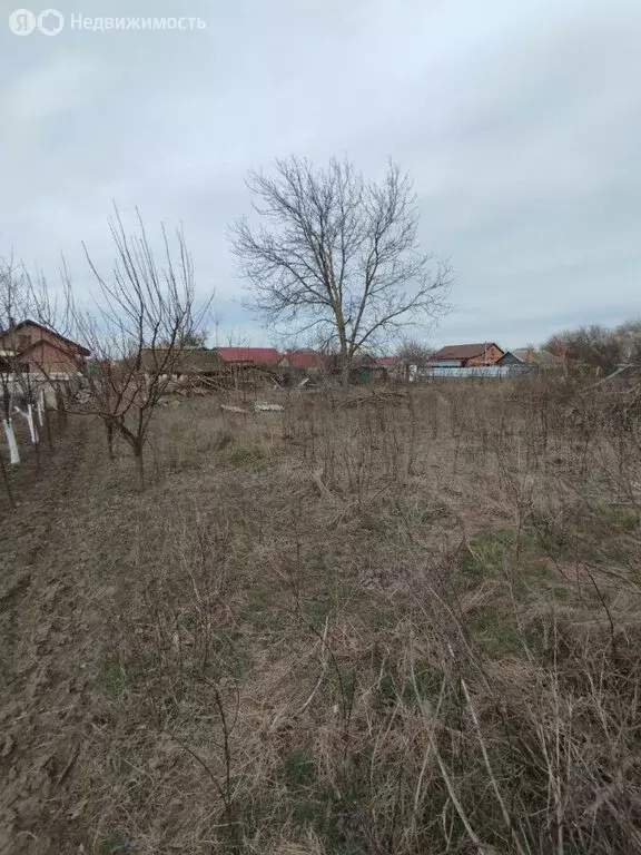Дом в станица Старощербиновская, улица Ленина (47 м) - Фото 1