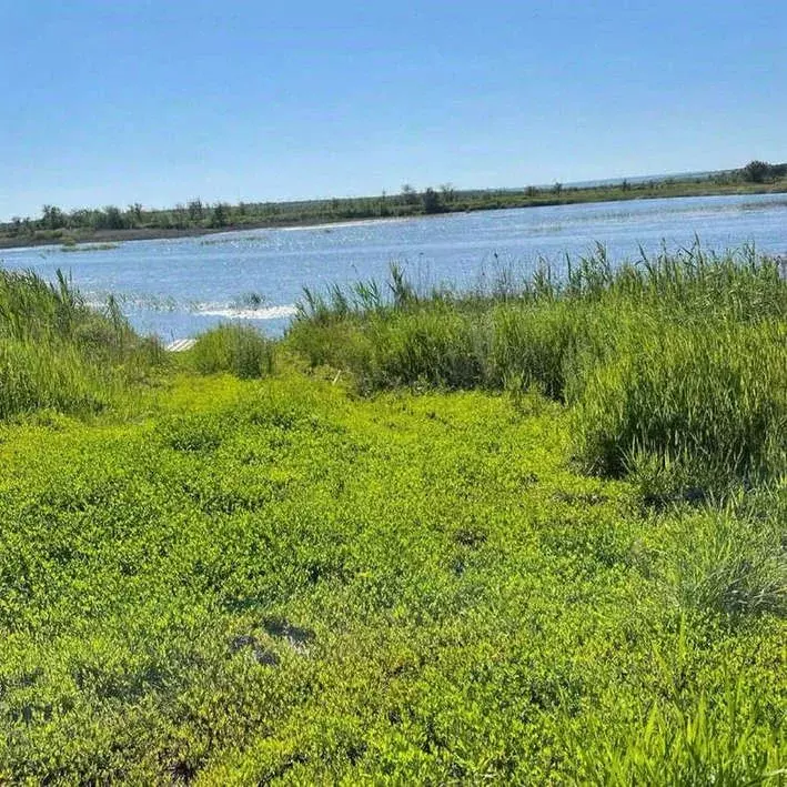 Участок в Саратовская область, Бартоломеевский хут.  (3900.0 сот.) - Фото 1