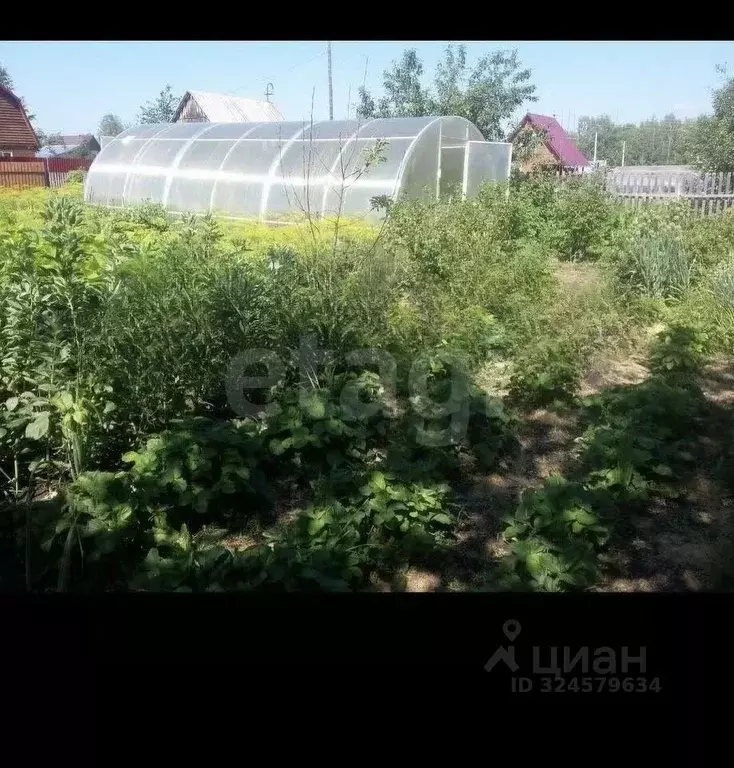 Дом в Новосибирская область, Новосибирский район, с. Верх-Тула ... - Фото 1