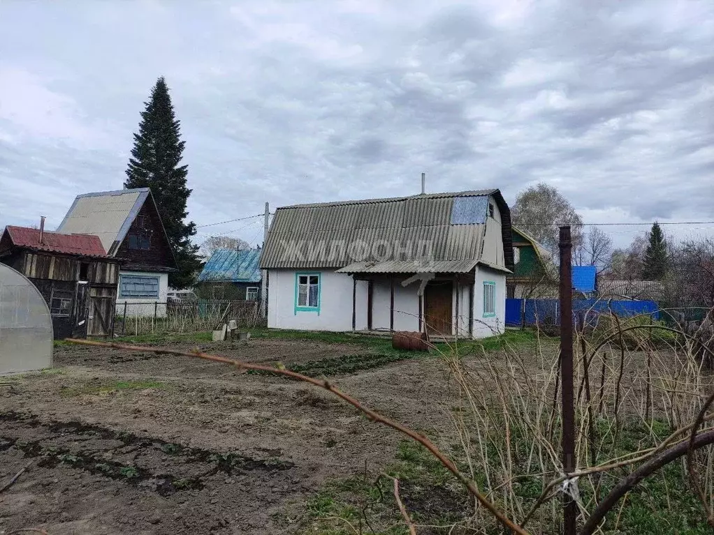 Дом в Новосибирская область, Новосибирский район, Толмачевский ... - Фото 0