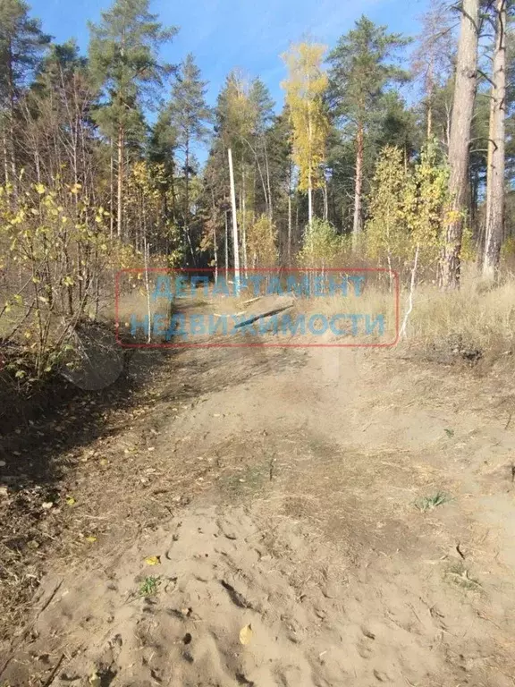 Участок 10 сот. (ИЖС) - Фото 0