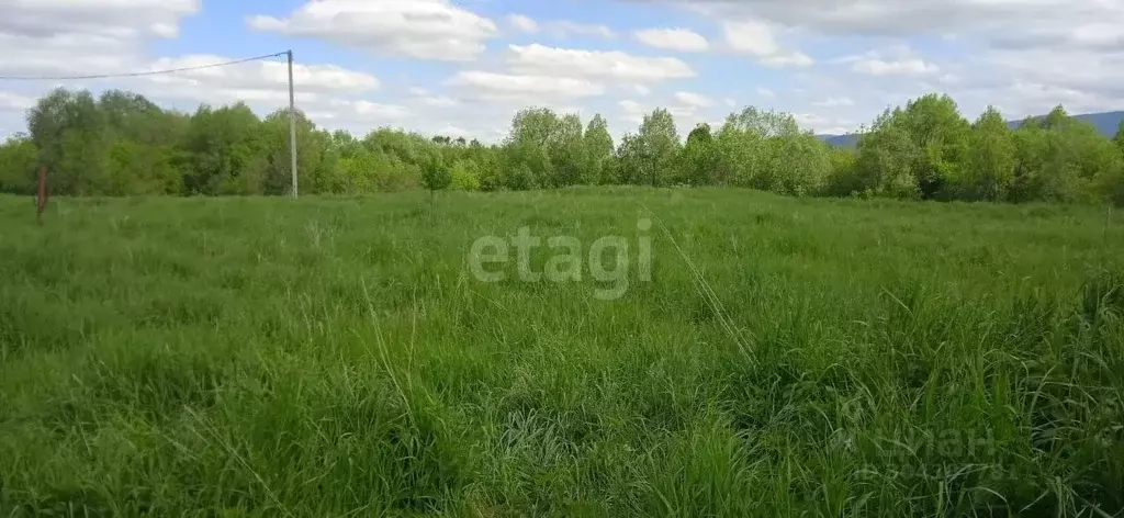 Участок в Алтайский край, Белокуриха ул. Нижняя (15.0 сот.) - Фото 0