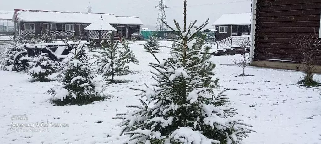 Дом в Ярославская область, Ярославский муниципальный округ, Базы ... - Фото 1