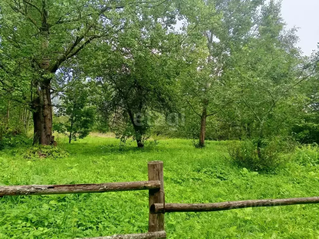 Участок в Псковская область, Пушкиногорский район, Велейская волость, ... - Фото 0