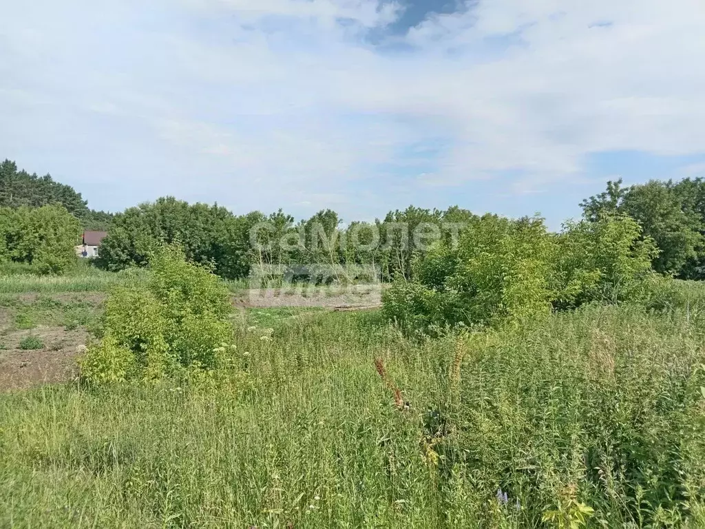 Участок в Тюменская область, Ишимский район, д. Таловка Лесная ул., 4 ... - Фото 0