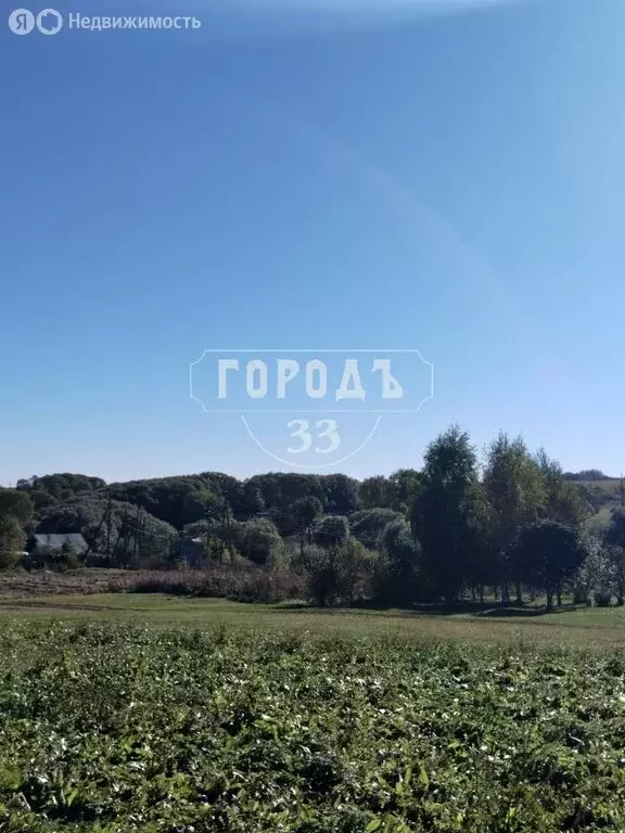 Участок в Гавриловское, Школьная улица (63.4 м) - Фото 2