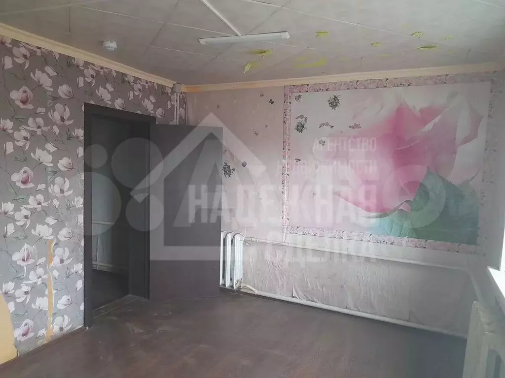 Дом 48,3 м на участке 16,1 сот. - Фото 0