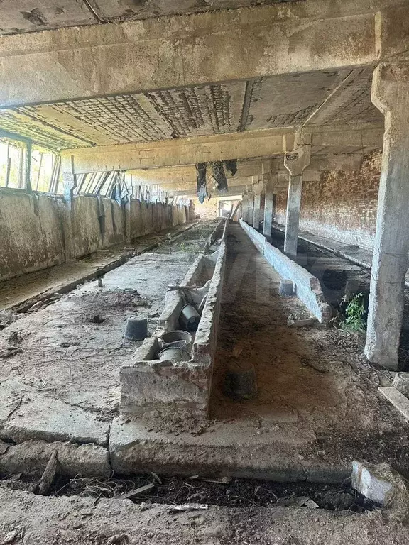 Производство, 1200 м - Фото 1