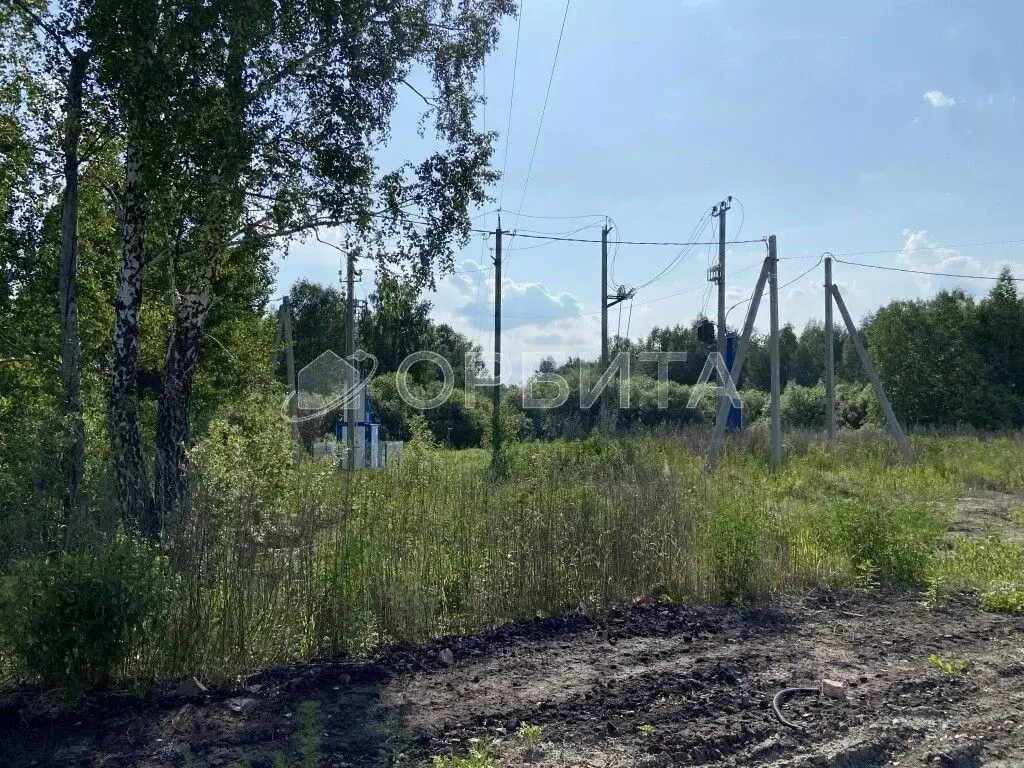 Участок в Тюменская область, Нижнетавдинский муниципальный округ, ... - Фото 2