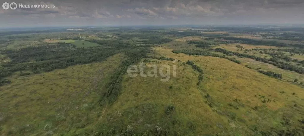 Участок в сельское поселение Покровское, деревня Михайловское (34000 ... - Фото 0