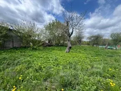 Участок в Калужская область, Дзержинский муниципальный округ, Дворцы ... - Фото 1