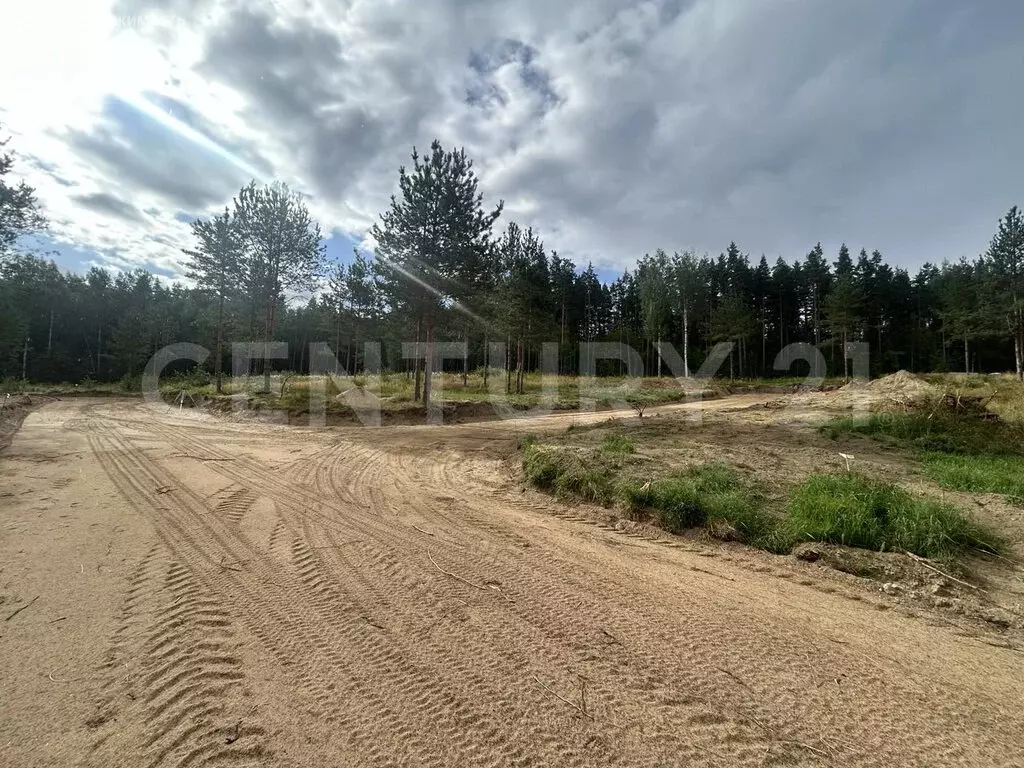 Участок в Приозерский район, Громовское сельское поселение, посёлок ... - Фото 2