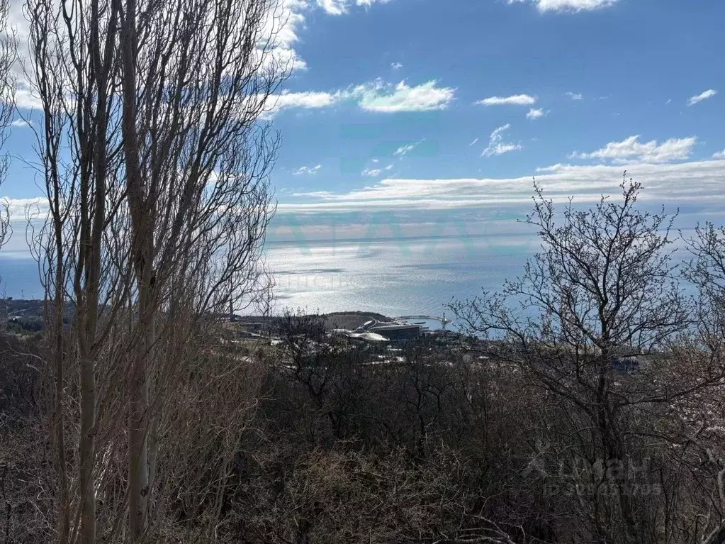 Участок в Крым, Ялта муниципальный округ, с. Оползневое ш. ... - Фото 2
