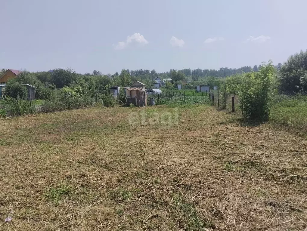 Участок в Алтайский край, Барнаул городской округ, Поселок Казенная ... - Фото 0