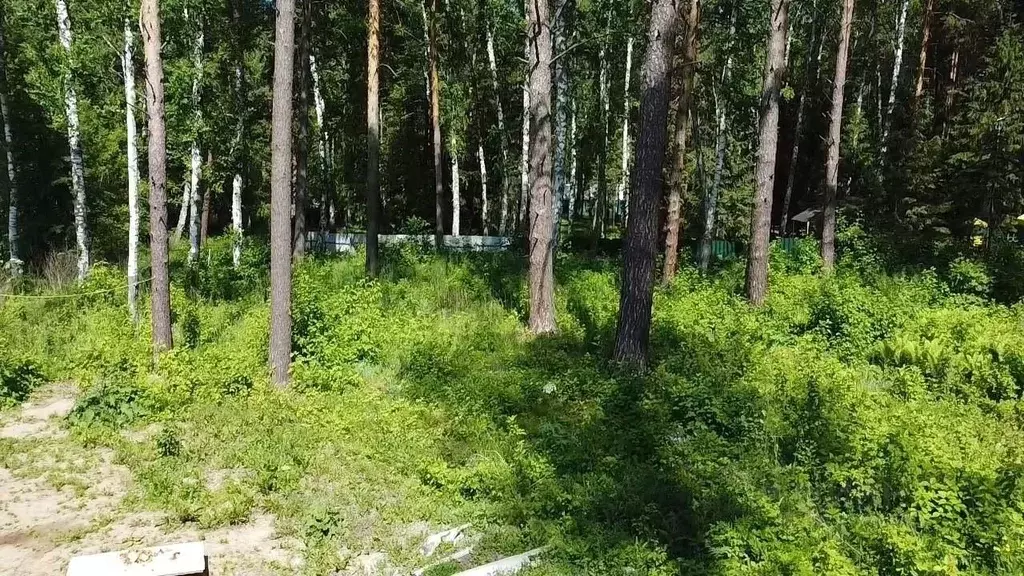 Участок в Алтай, Турочакский район, с. Турочак ул. Камзаракова, 6 ... - Фото 0
