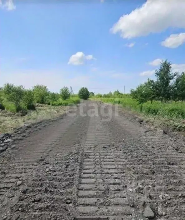 Участок в Калининградская область, Зеленоградский муниципальный округ, ... - Фото 0