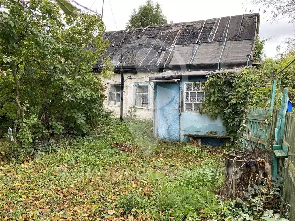 Дом в Рязанская область, Михайловский муниципальный округ, с. Голдино ... - Фото 1