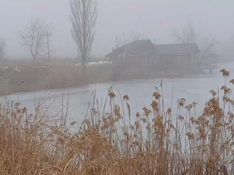 Участок в Крым, Симферопольский район, Трудовское с/пос, с. ... - Фото 2