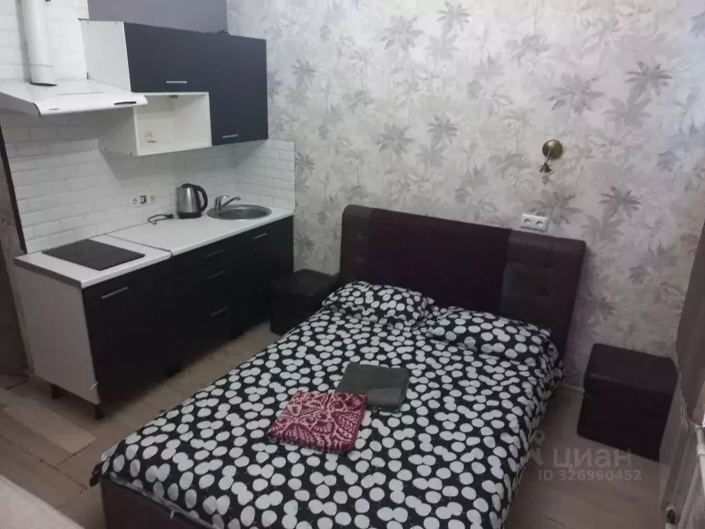 Студия Санкт-Петербург Старо-Петергофский просп., 26В (18.0 м) - Фото 2