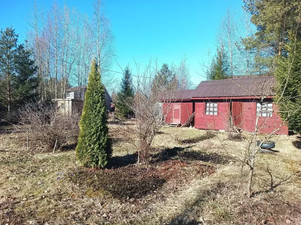 Дом в Ленинградская область, Выборгский район, Рощинское городское ... - Фото 1