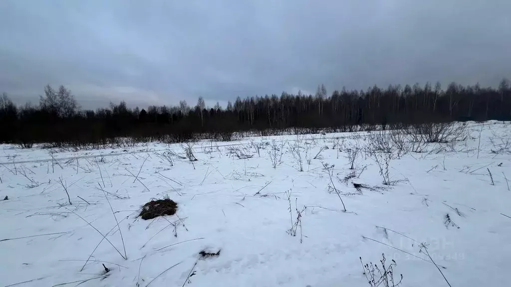 Участок в Московская область, Истра муниципальный округ, д. Курово  ... - Фото 1