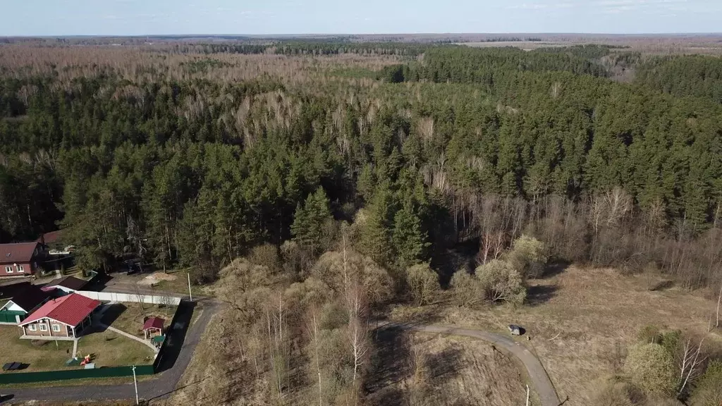 Участок в Владимирская область, Александровский район, Андреевское ... - Фото 0