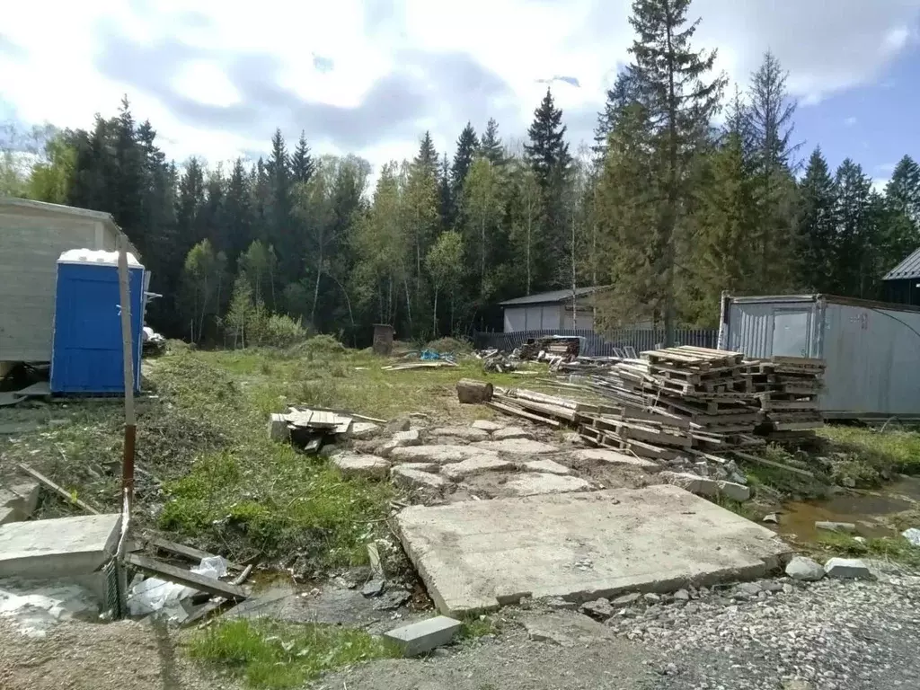 Участок в Московская область, Дмитровский муниципальный округ, Лесная ... - Фото 2