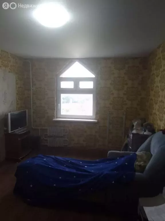 2-комнатная квартира: Казань, проспект Победы, 100 (56 м) - Фото 1