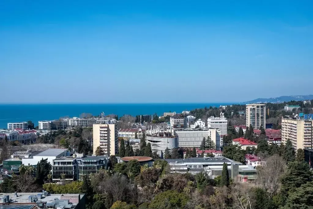 Студия Краснодарский край, Сочи Центральный мкр, ул. Войкова, 27 (30.0 ... - Фото 2