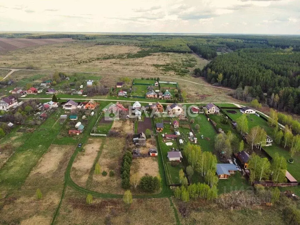 Участок в Владимирская область, Суздальский район, Селецкое ... - Фото 0