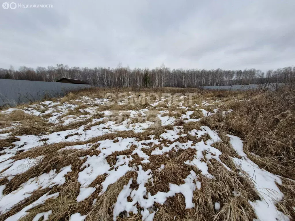 Участок в село Большой Куяш, улица Ленина (20 м) - Фото 0