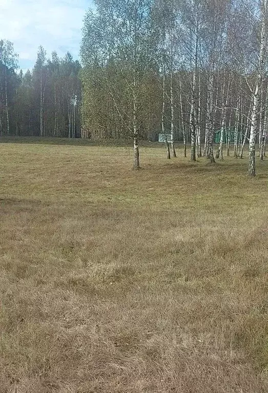 Участок в Московская область, Лосино-Петровский городской округ, д. ... - Фото 1