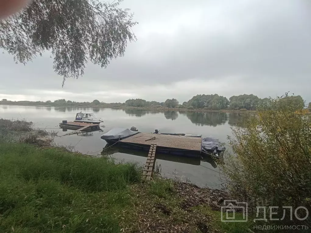 Участок в Рязанская область, Спасский муниципальный округ, пос. ... - Фото 1