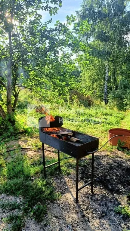 Участок в Новосибирская область, Новосибирск Алый Рассвет СНТ, 77 (4.2 ... - Фото 1