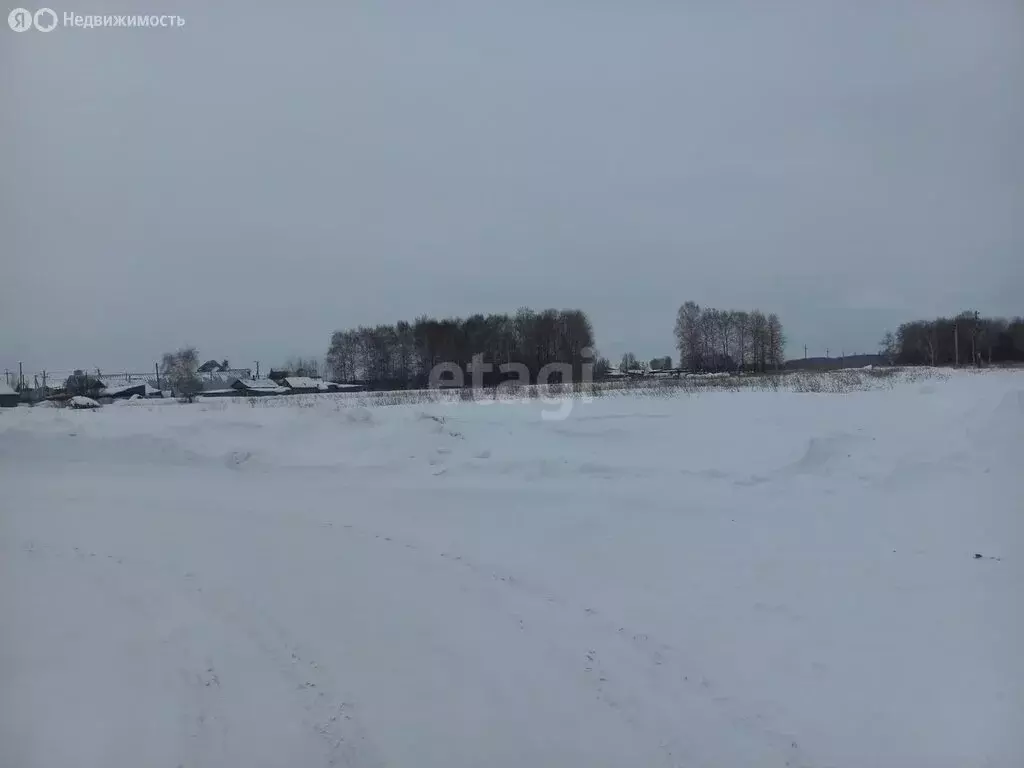 Участок в село Викулово, улица Свободы (10 м) - Фото 1