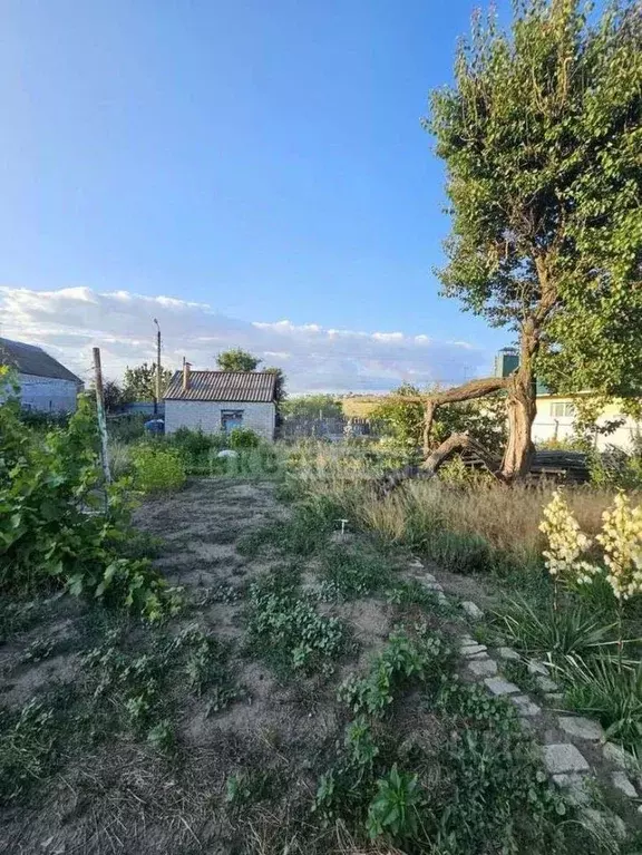 Участок в Волгоградская область, Городище рп Волгоградская ул., 8 ... - Фото 1