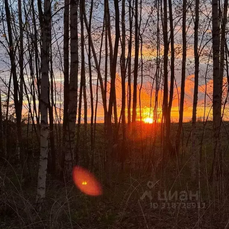 Дом в Московская область, Сергиево-Посадский городской округ, Алекс ... - Фото 1