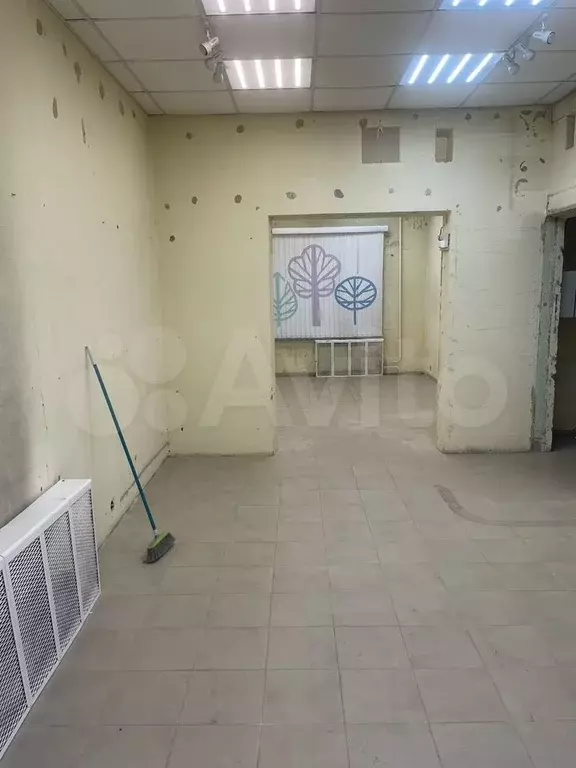 Под пвз,услуги,курсы,кабинет,офис,бьюти - Фото 0