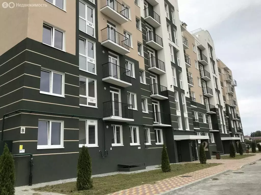 Квартира-студия: Пионерский, улица Гептнера, 17 (21.72 м) - Фото 1