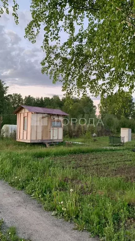 Участок 6 сот. (СНТ, ДНП) - Фото 0