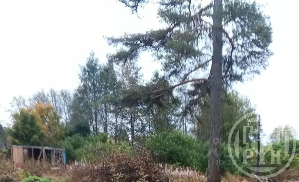 Участок в Ленинградская область, Приозерск Ленинградское ш., 44 (8.71 ... - Фото 2