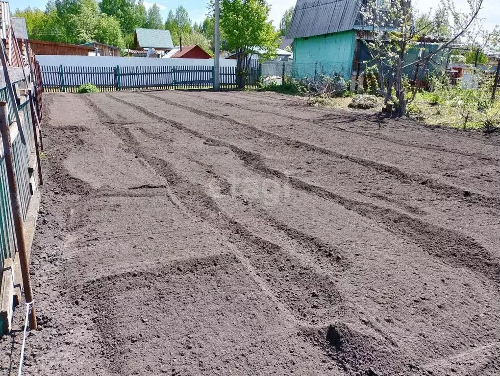 Участок в Новосибирская область, Новосибирский район, Толмачевский ... - Фото 0