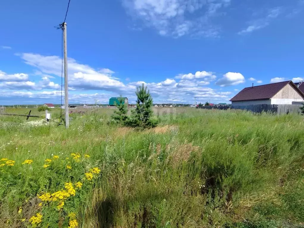 Участок в Курганская область, Кетовский муниципальный округ, Марьина ... - Фото 1