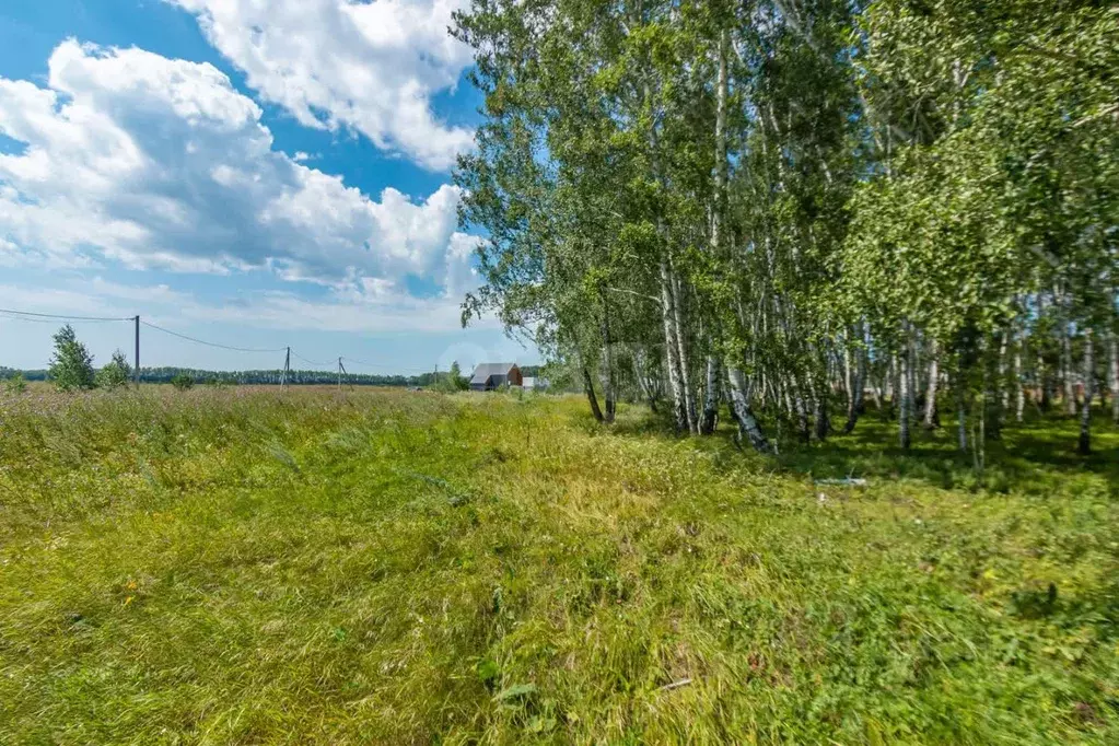 Участок в Омская область, Омский район, с. Пушкино ул. Даргомыжского ... - Фото 0