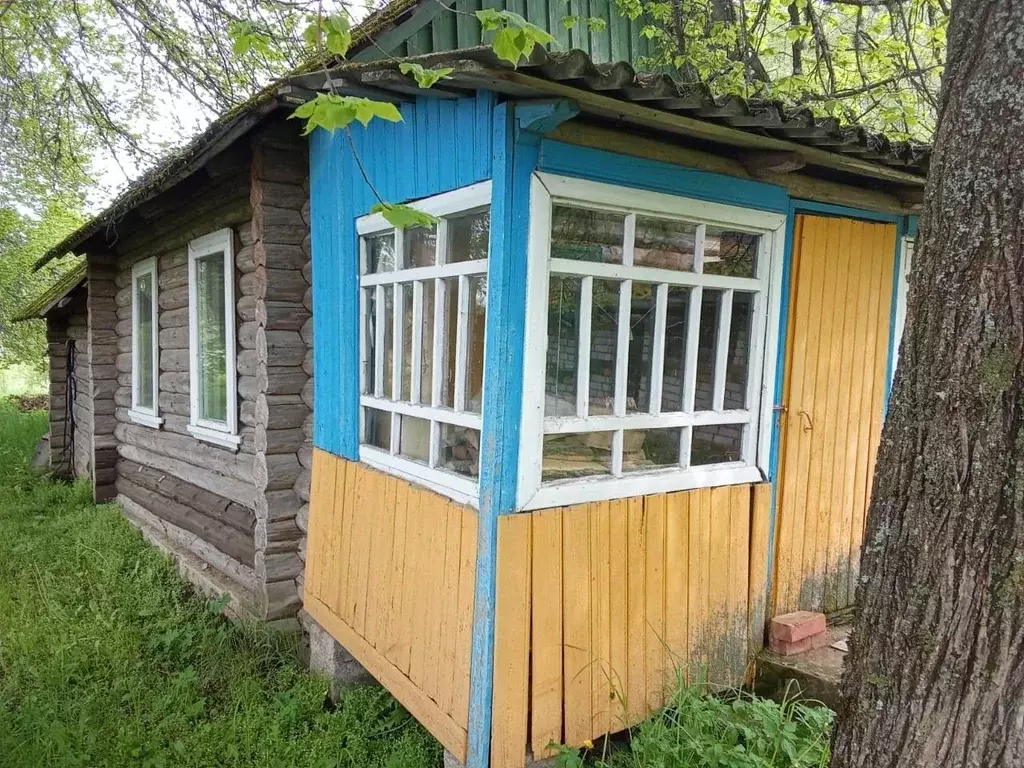 Участок в Псковская область, Струго-Красненский район, пос. Пятчино ... - Фото 0