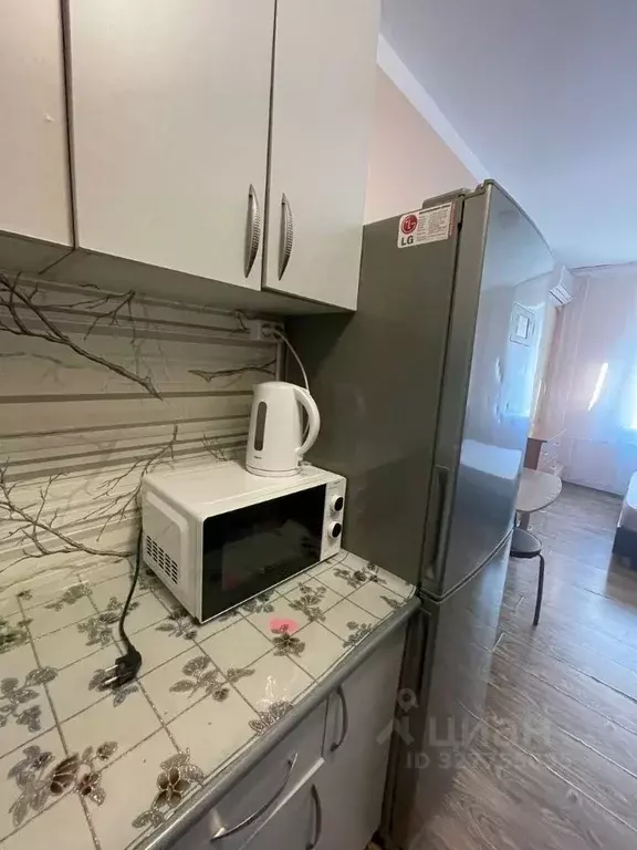 Студия Приморский край, Владивосток Сельская ул., 10 (16.7 м) - Фото 2