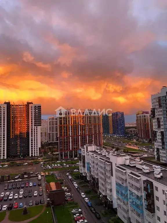 Студия Санкт-Петербург ул. Плесецкая, 20к1 (24.4 м) - Фото 0