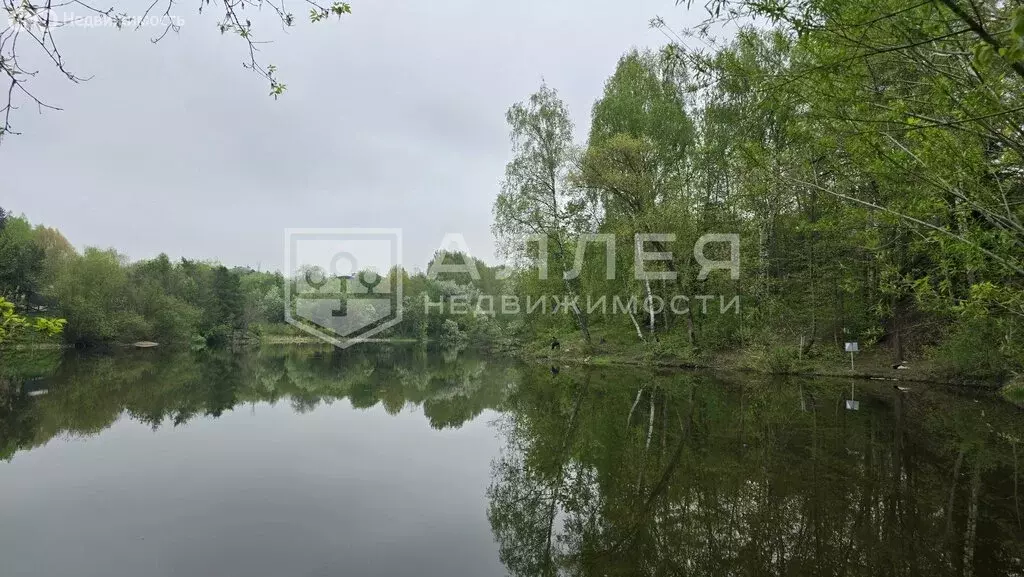 Участок в Одинцовский городской округ, деревня Подушкино (34 м) - Фото 1