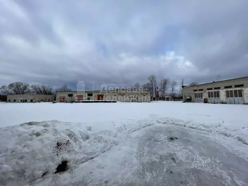 Производственное помещение в Новгородская область, Великий Новгород ... - Фото 1