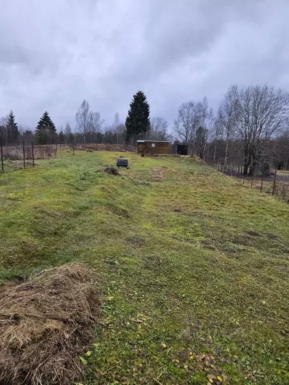Участок в Новгородская область, Валдайский район, Костковское с/пос  ... - Фото 1